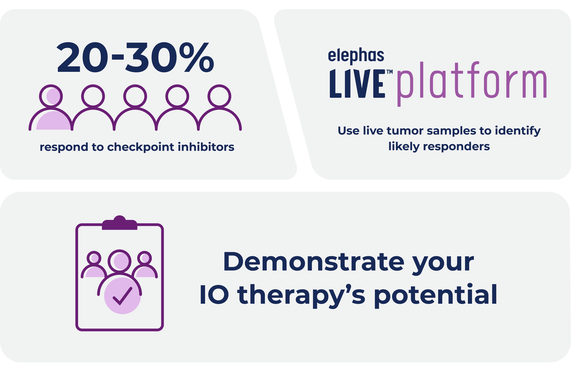 Elephas-LP-percentage-graphic_2400x2400-KO